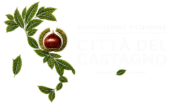 logo scritte bianche sfondo trasparente