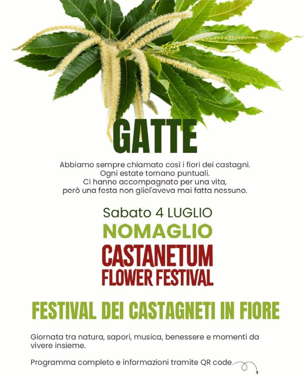 Programma Nomaglio